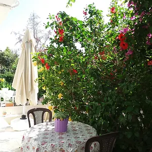 2* Aparthotel Cizmeci Apart